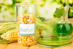 Plas Coch biofuel availability