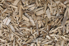biomass boilers Plas Coch