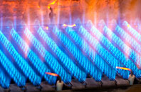 Plas Coch gas fired boilers